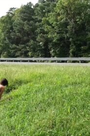 2021-09-22 – amwednesday – Mini – Roadside